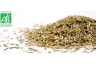 PREMIUM QUALITY ORGANIC ROSEMARY - FRANCE ORIGIN - PROVENCE